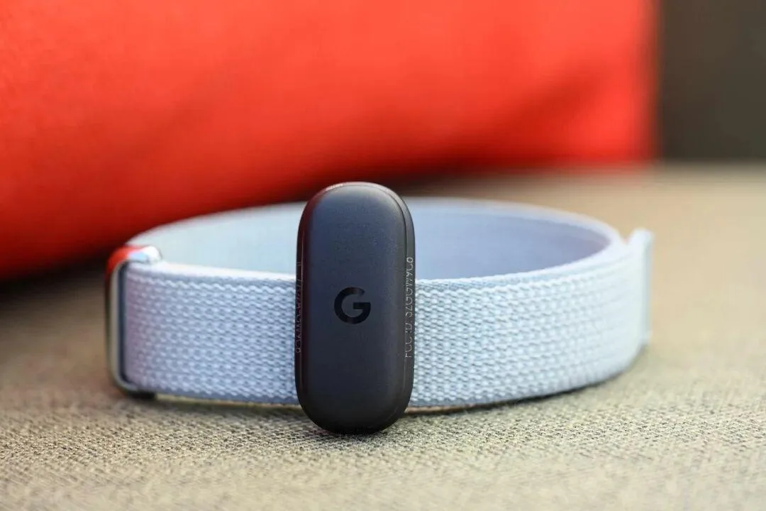 Fitbit Air/Polar Loop/WHOOP/